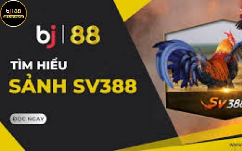 Tại sao nên chọn Sảnh SV388 trên BJ88?